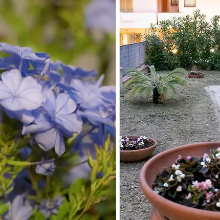 Il Giardino 西维尔诺瓦·马尔凯