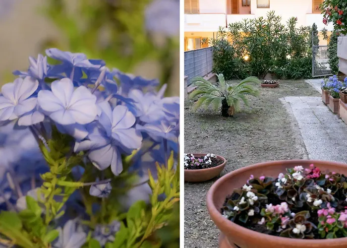 Il Giardino Civitanova Marche