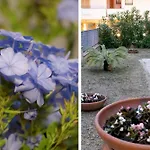 Il Giardino Civitanova Marche