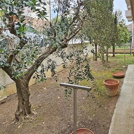 Il Giardino